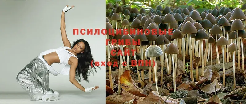 Галлюциногенные грибы Magic Shrooms  Бор 